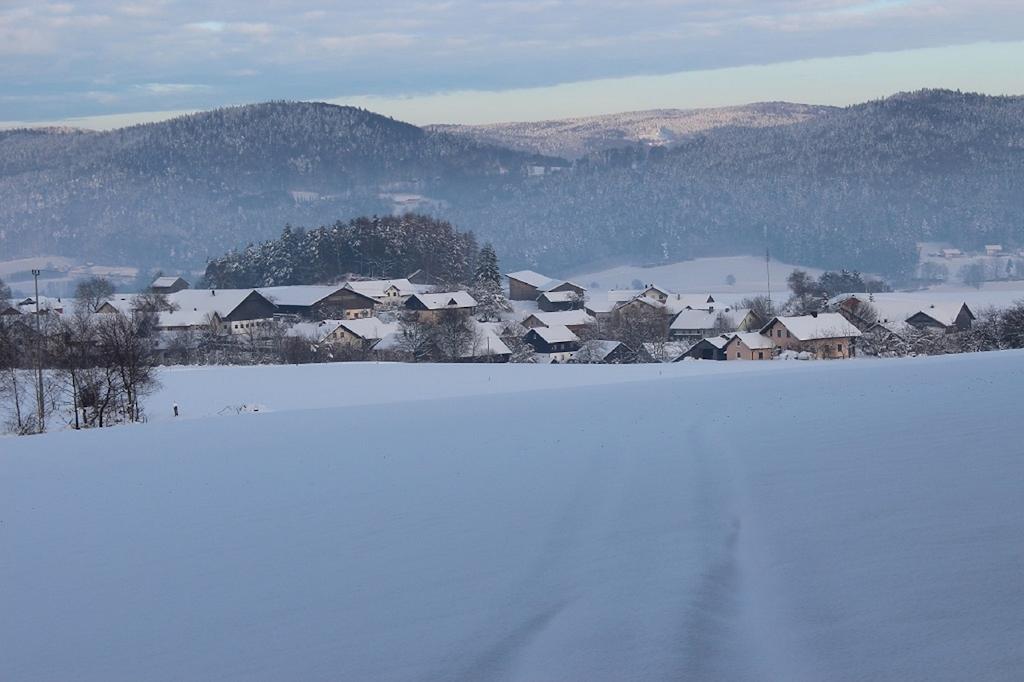 Gasthaus Zur Waldesruh Waffenbrunn Εξωτερικό φωτογραφία
