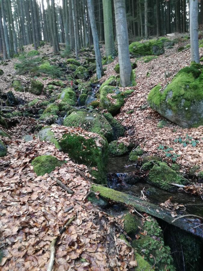 Gasthaus Zur Waldesruh Waffenbrunn Εξωτερικό φωτογραφία