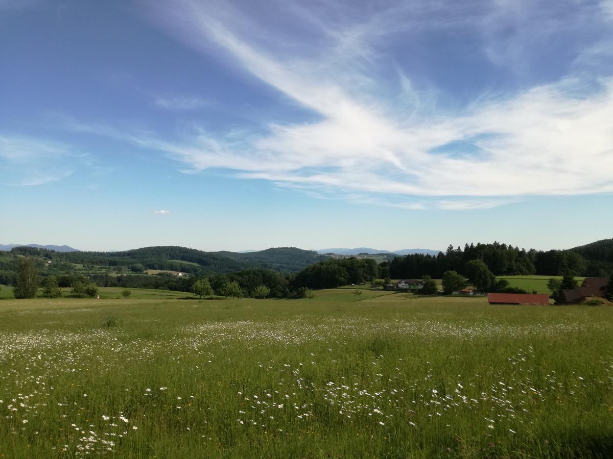 Gasthaus Zur Waldesruh Waffenbrunn Εξωτερικό φωτογραφία